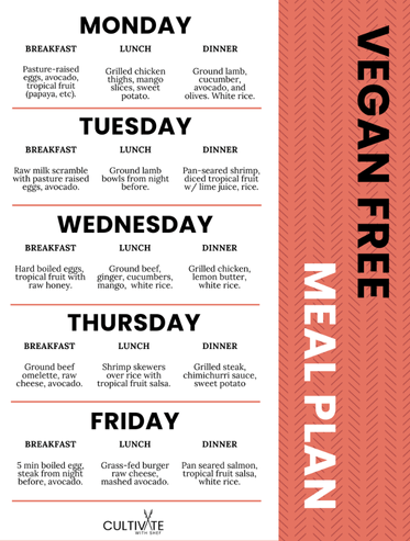 Weekly meal plan for an animal-based diet, featuring a variety of meals with meats, eggs, and vegetables.